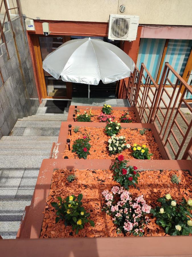 Garsoniera Alex Apartment Cluj-Napoca Exterior foto