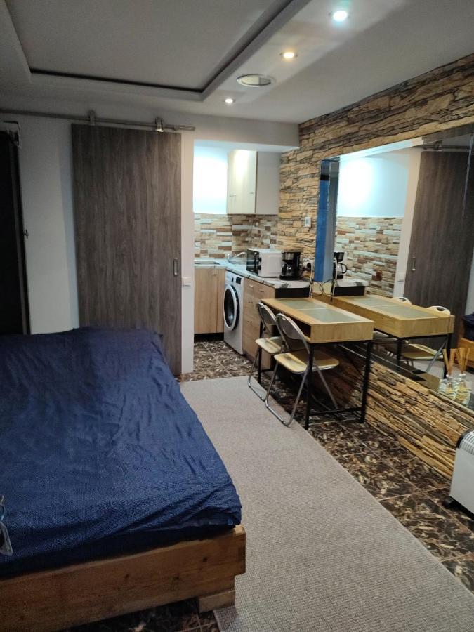 Garsoniera Alex Apartment Cluj-Napoca Exterior foto